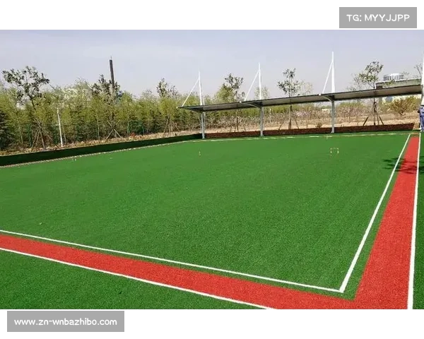 多地球场草坪质量提升,比赛流畅度得到保障